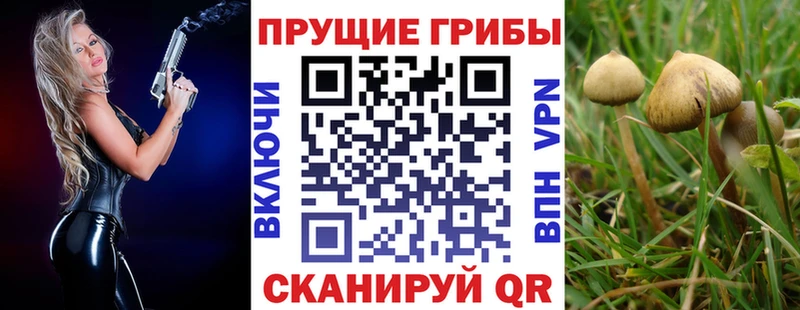 что такое наркотик  ссылка на мегу ссылка  Галлюциногенные грибы Psilocybe  Курчалой 