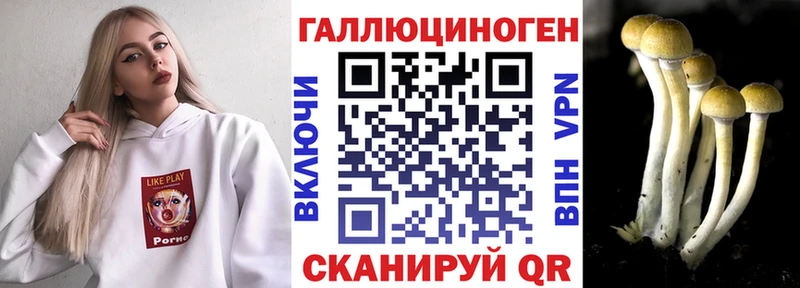 Псилоцибиновые грибы ЛСД Курчалой