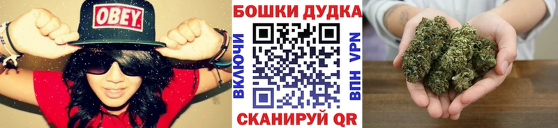 купить закладку  Курчалой  Бошки марихуана Amnesia 